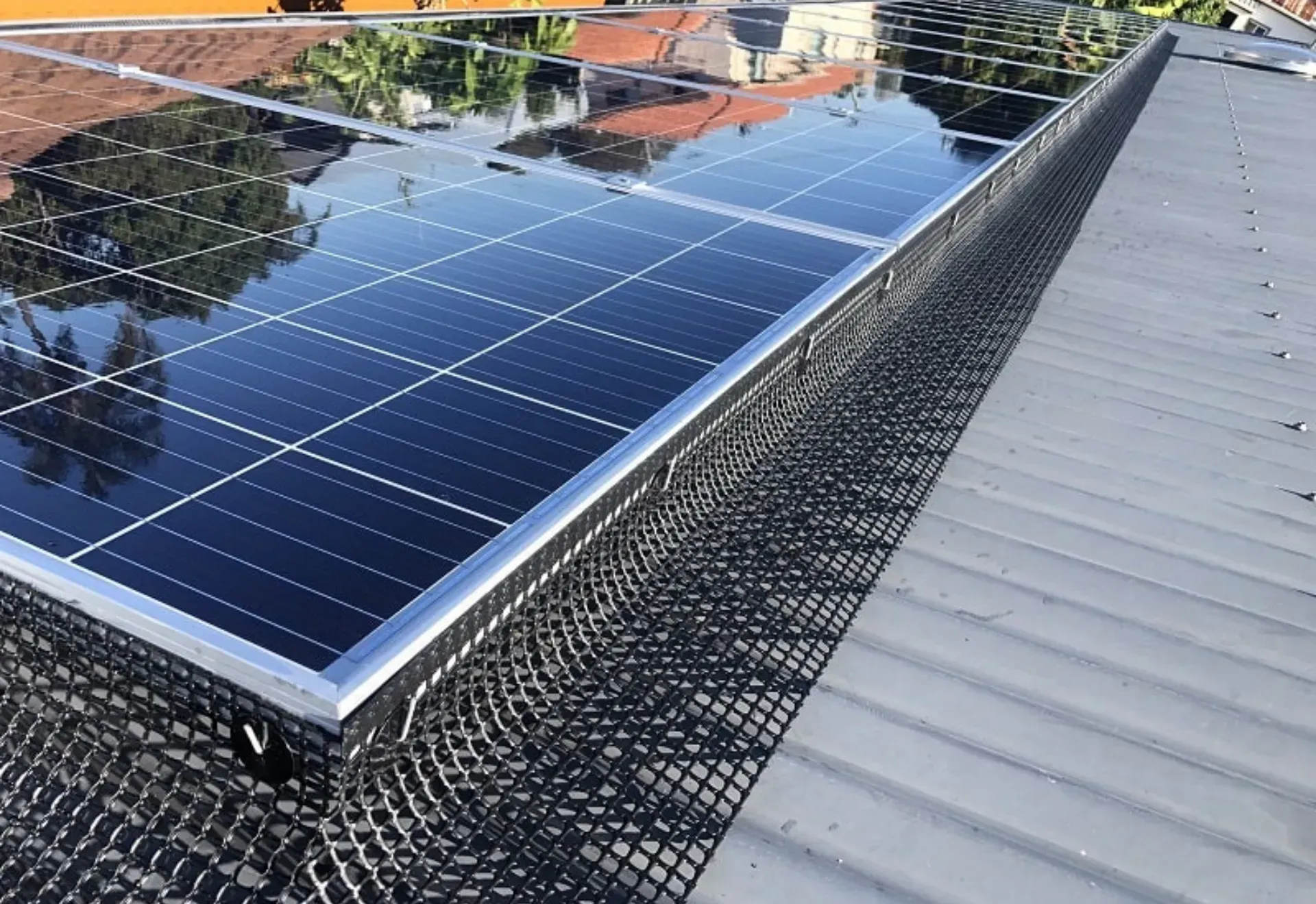 Solar panels on a metal roof, surrounded by a black bird deterrent net.