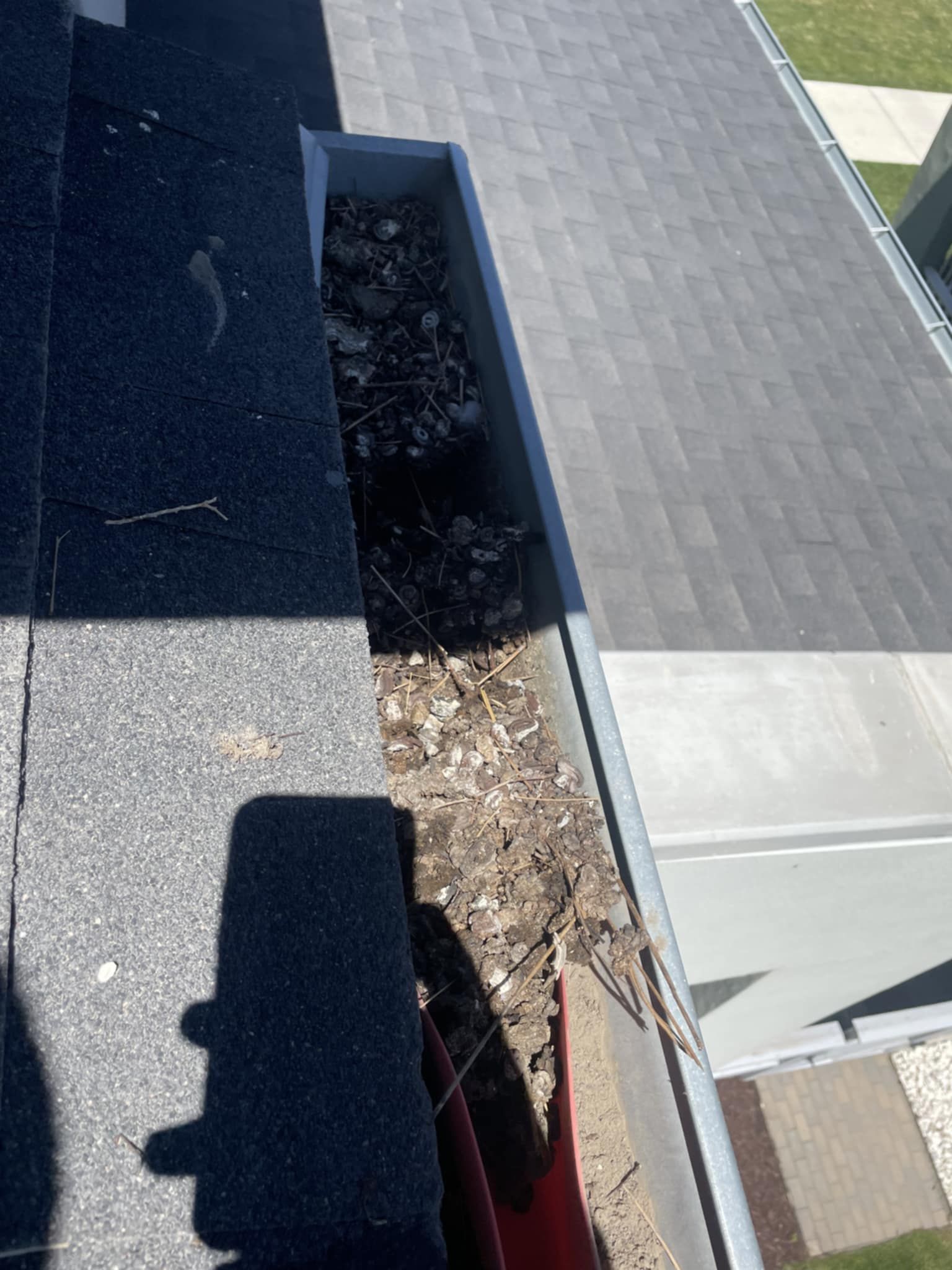 Gutter filled with leaves and debris on a rooftop.
