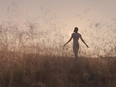 trattamenti di psicoterapia trattamenti di psicoterapia