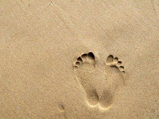 esame psicodiagnostico esame psicodiagnostico