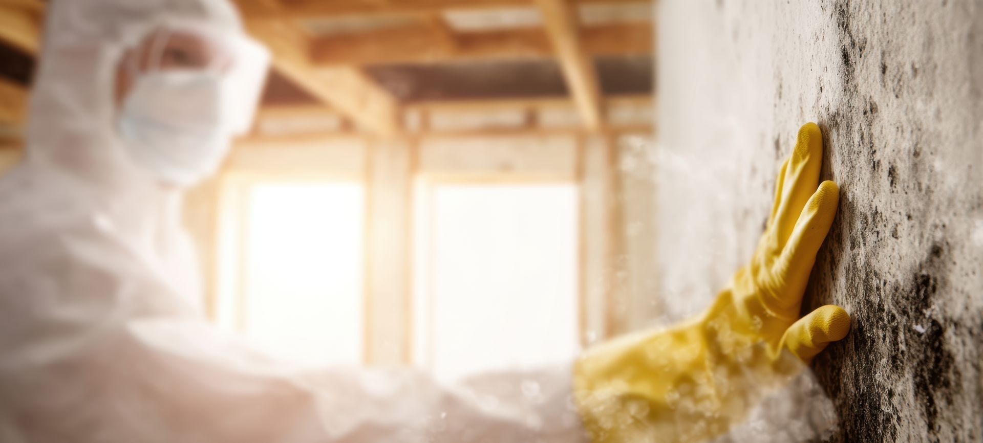 Person in protective gear touching a mold-covered wall inside a building.