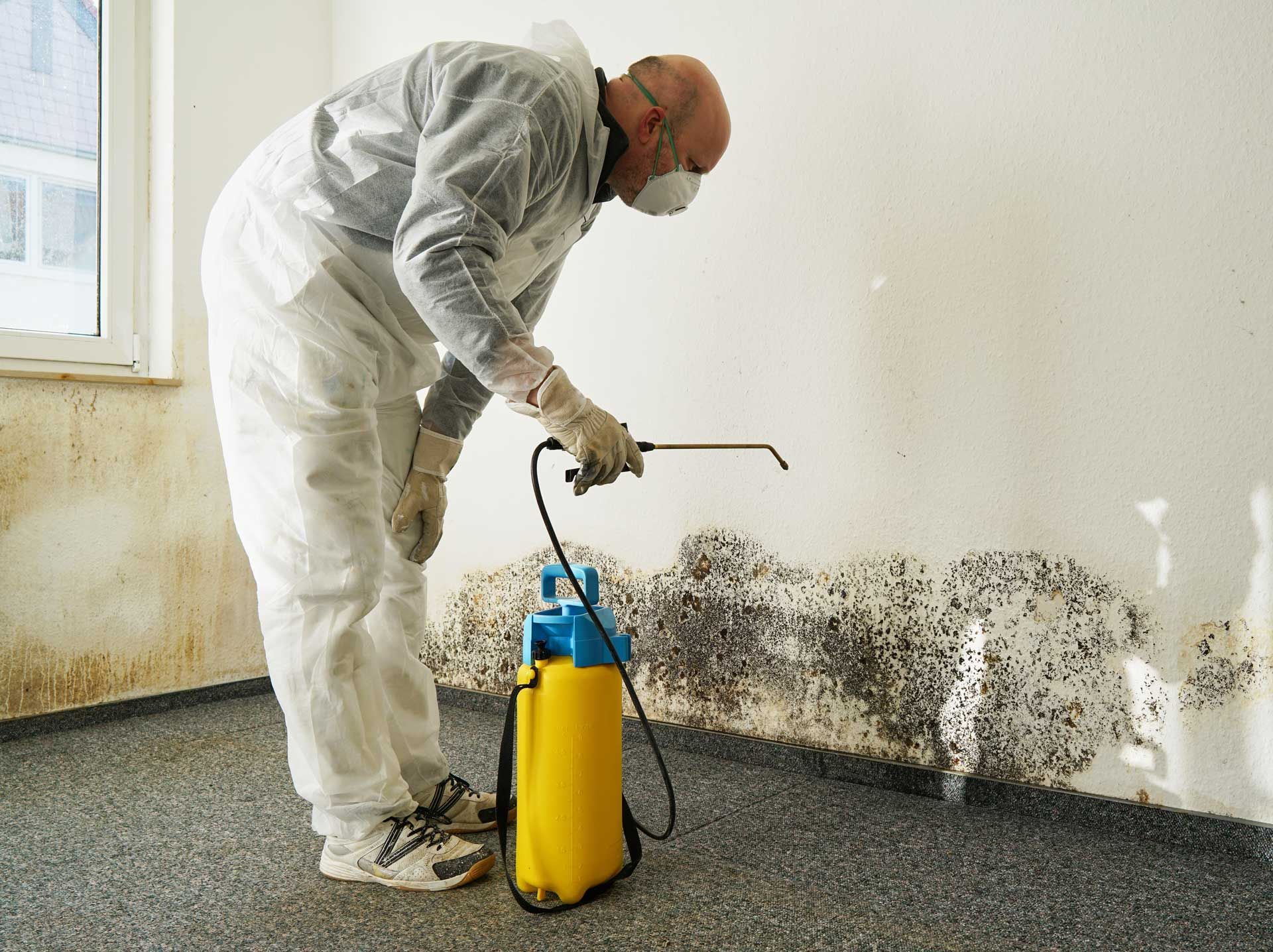 A man is spraying chemicals on the mold.