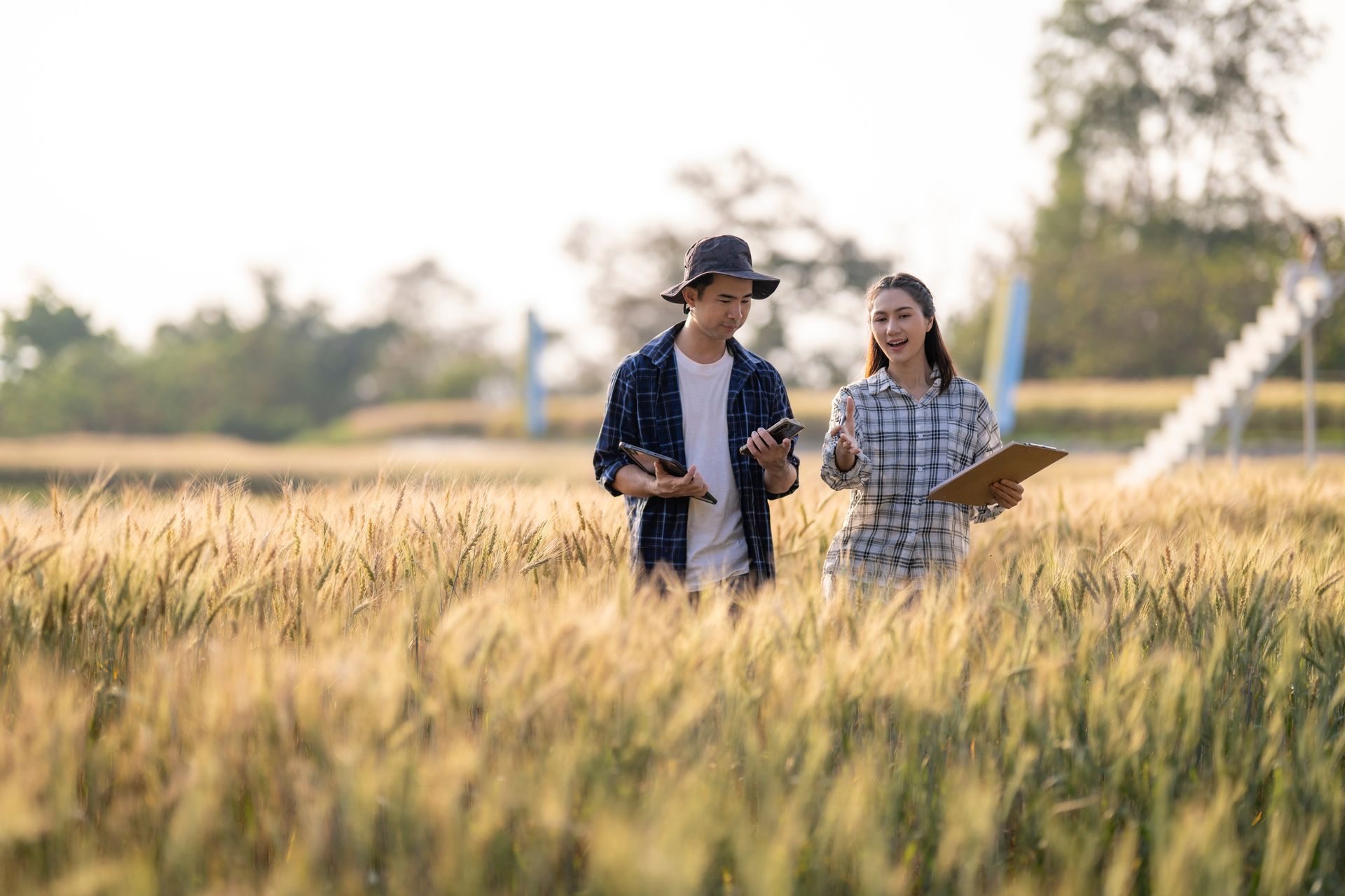 Two people walking through a wheat field, one holding a clipboard, under soft daylight