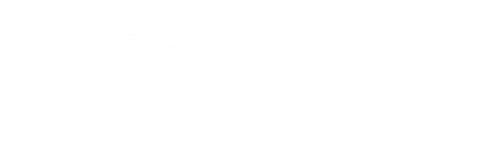 A white background with a few lines on it