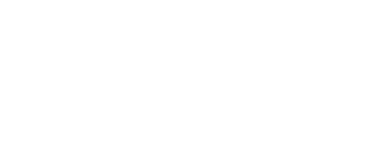Hollywood Limo logo