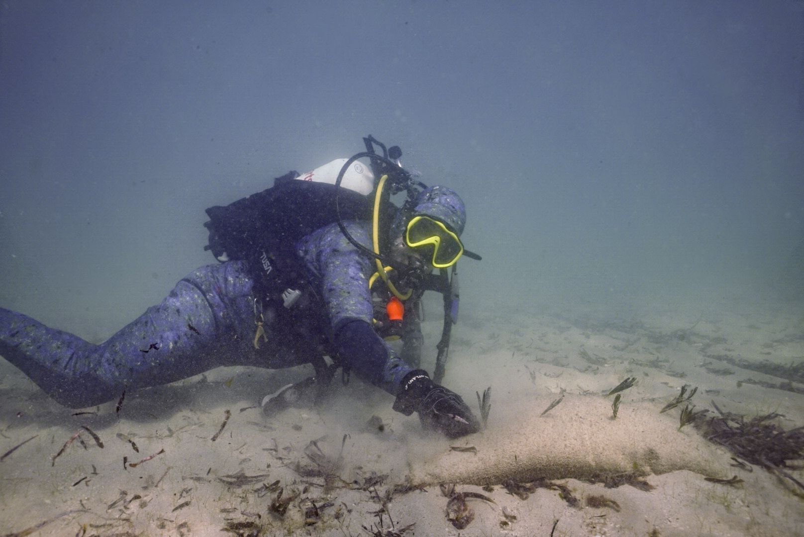 Scuba diver exploring a sandy ocean floor, reaching with gloved hand. Wearing a wetsuit and gear.