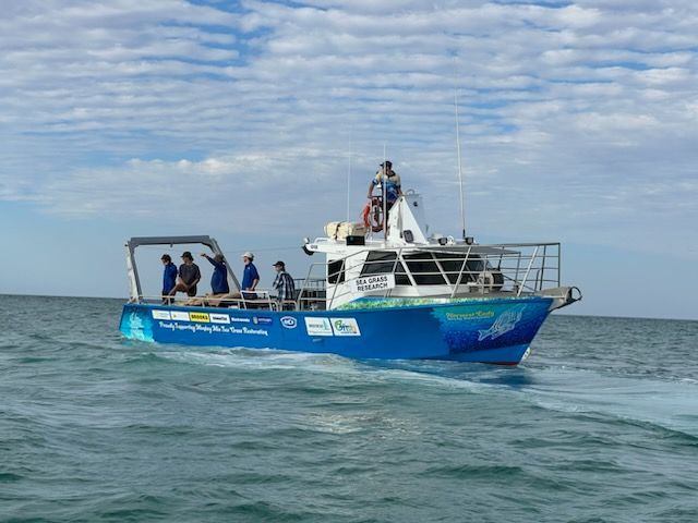 Blue tour boat with people on board sailing on the ocean under a cloudy sky.