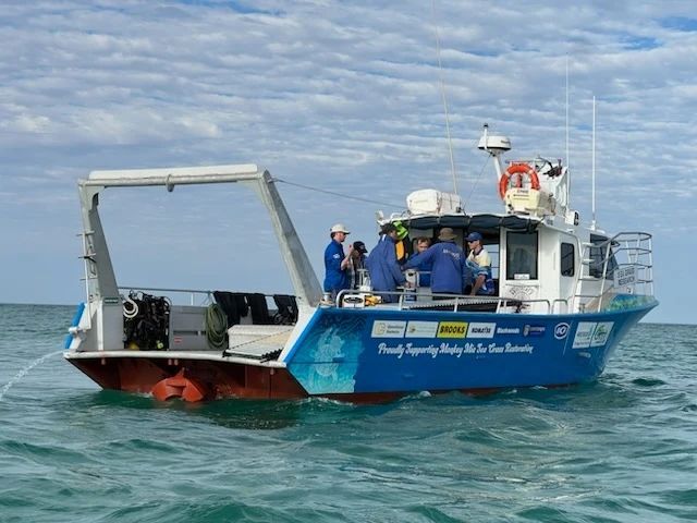 A blue and white boat on the ocean with researchers, likely for underwater exploration or surveying.