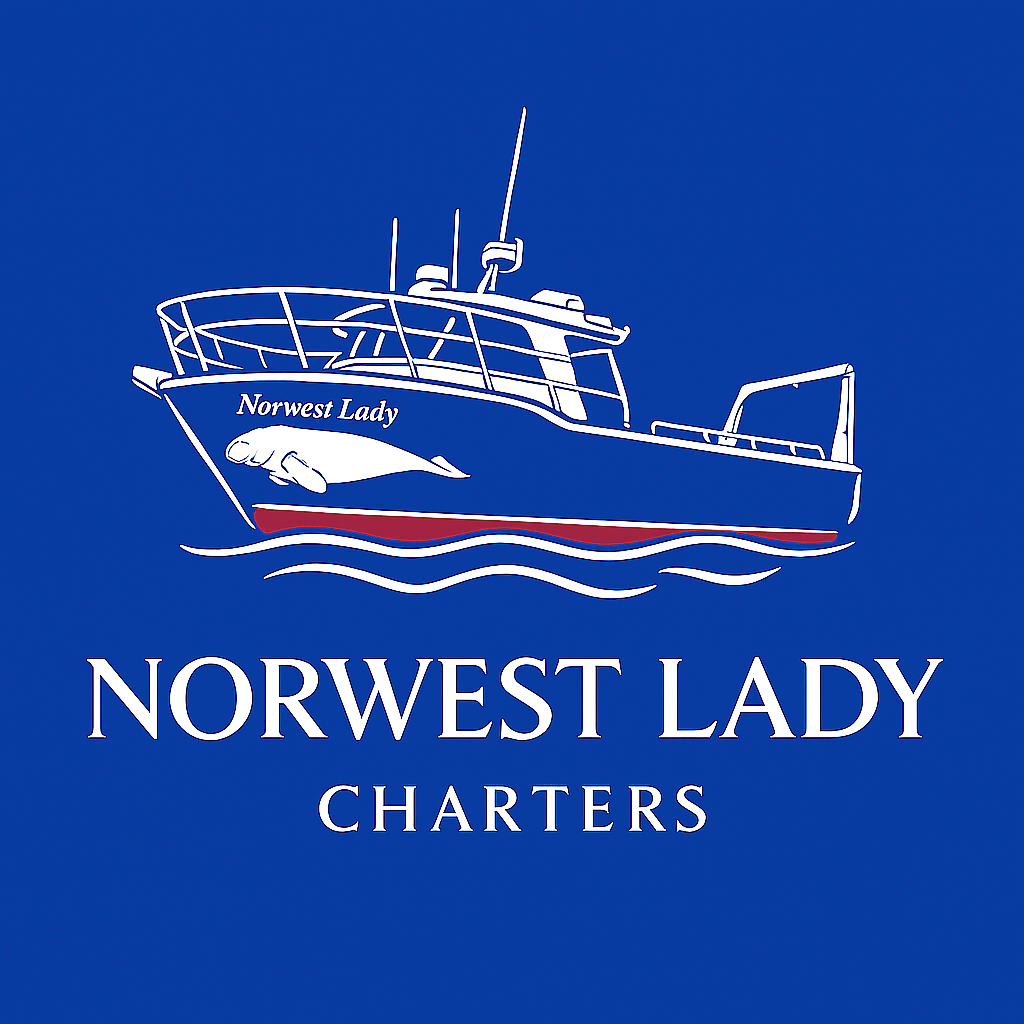 Blue logo of boat