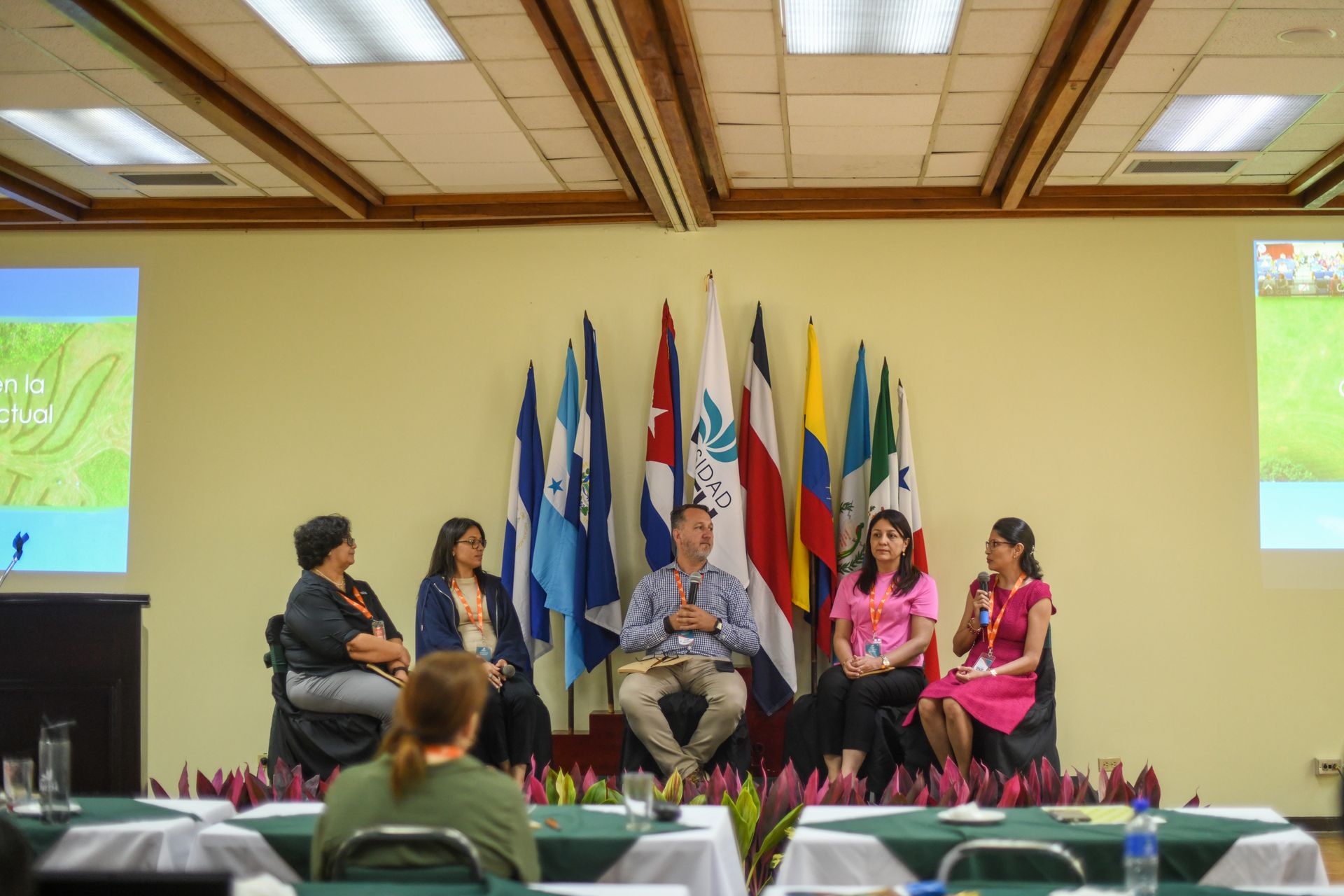 Mesa redonda: seis personas en el escenario, con banderas al fondo. Una mujer vestida de rosa habla.