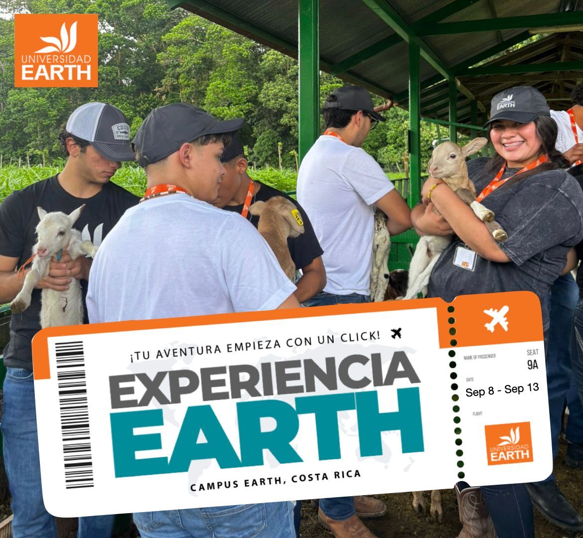 Personas sosteniendo corderos en el campus de Earth Experience en Costa Rica.