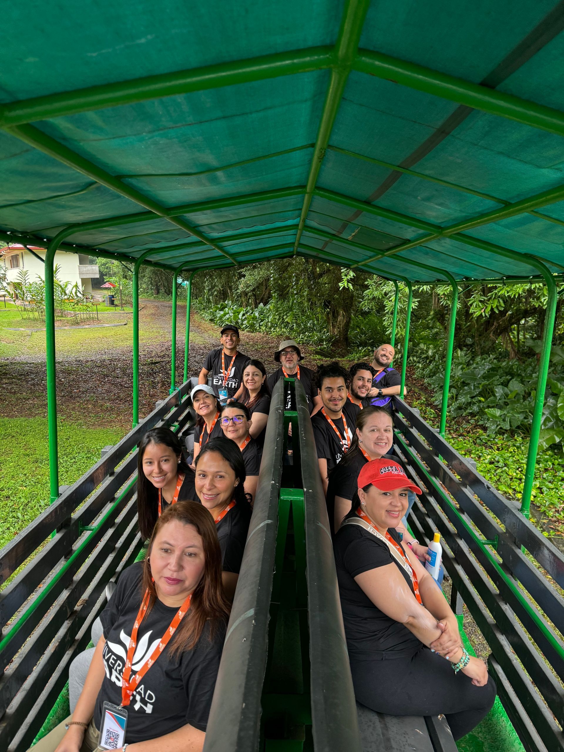 Grupo de personas en un tren con techo verde, viajando a través de una zona boscosa.