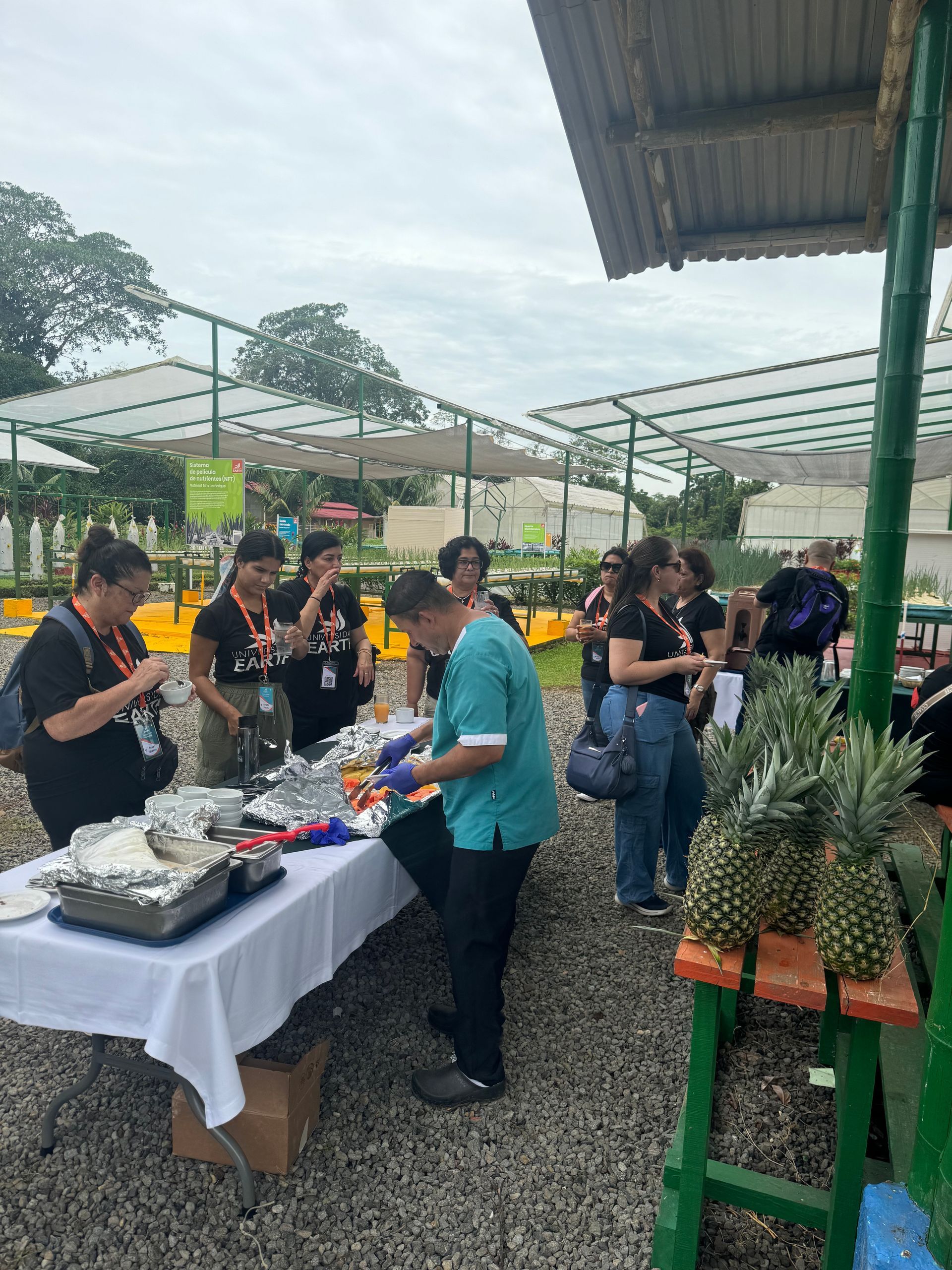 Personas en una mesa con comida, posiblemente un evento de catering. Piñas y recipientes visibles en el exterior.