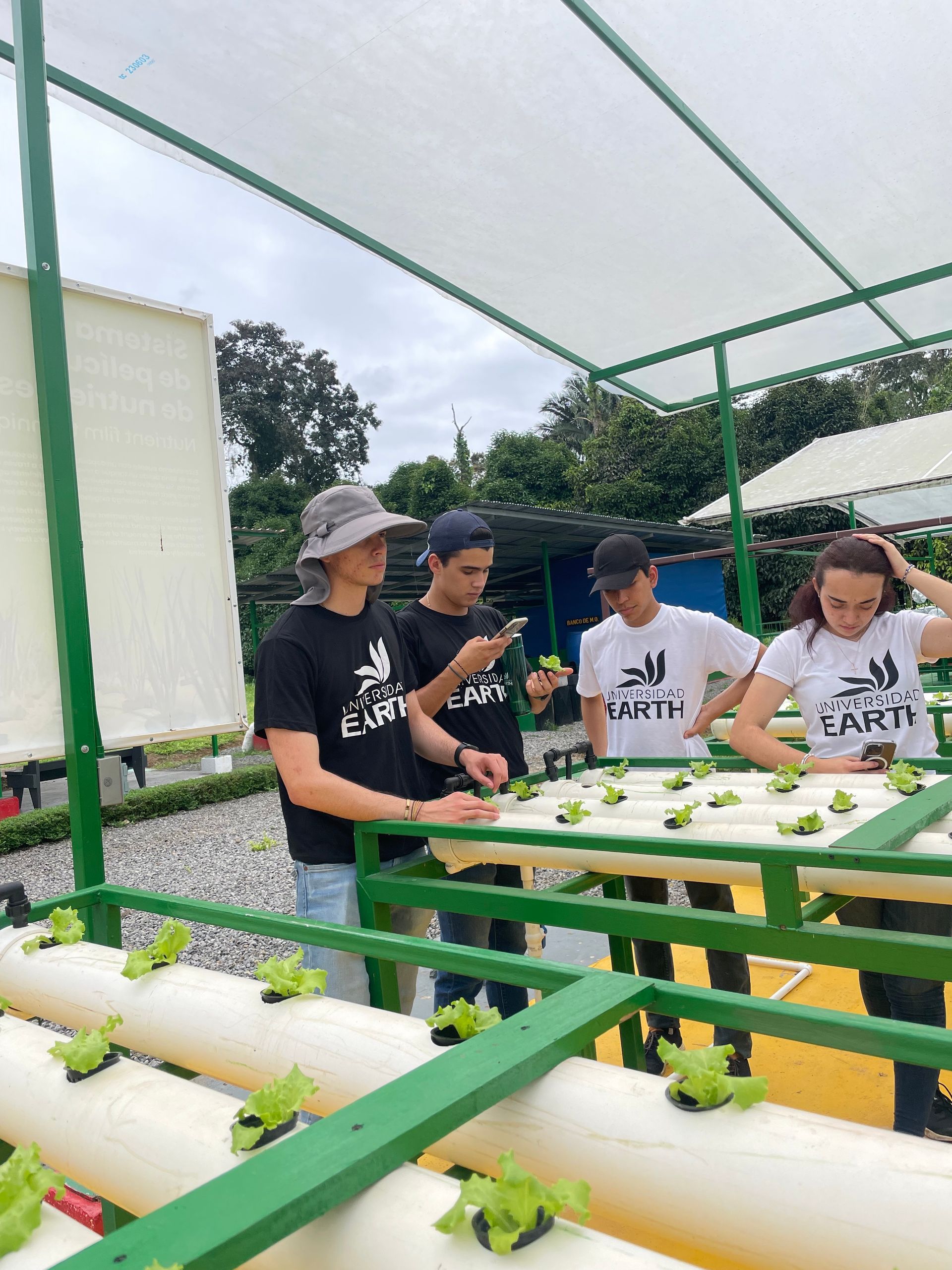 A group of people are working on a hydroponic system.