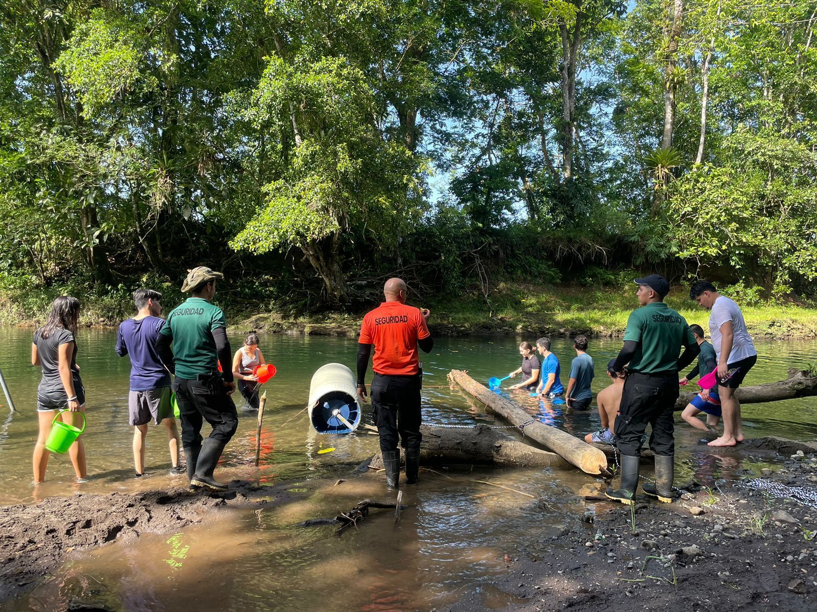A group of people are standing in the water near a river.