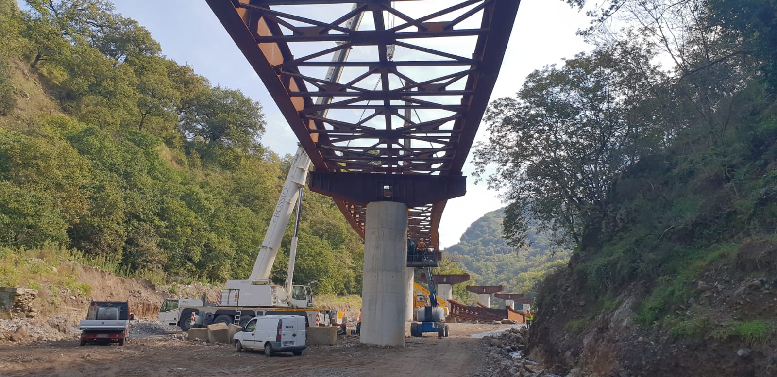 Si sta costruendo un ponte in mezzo a una foresta.