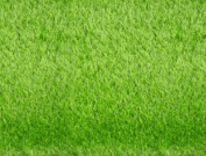 Artificial Turf