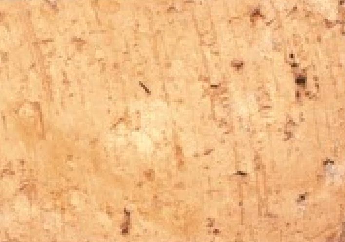 Natual Concrete paver