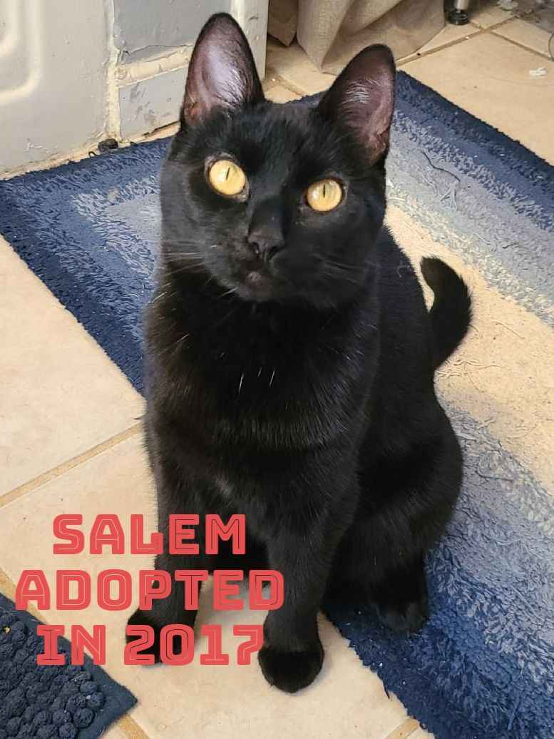 Salem Adopted 2017!