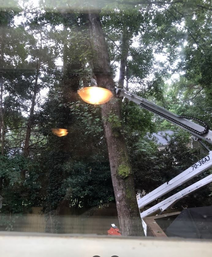 Crane Service | Raleigh, NC | Longhorn Tree Service