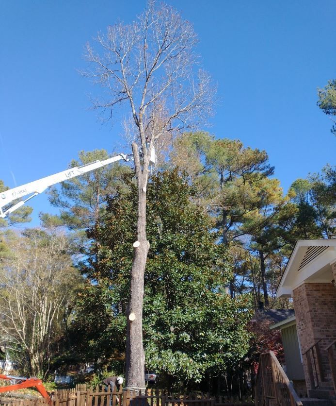 Lift Bucket Truck | Raleigh, NC | Longhorn Tree Service