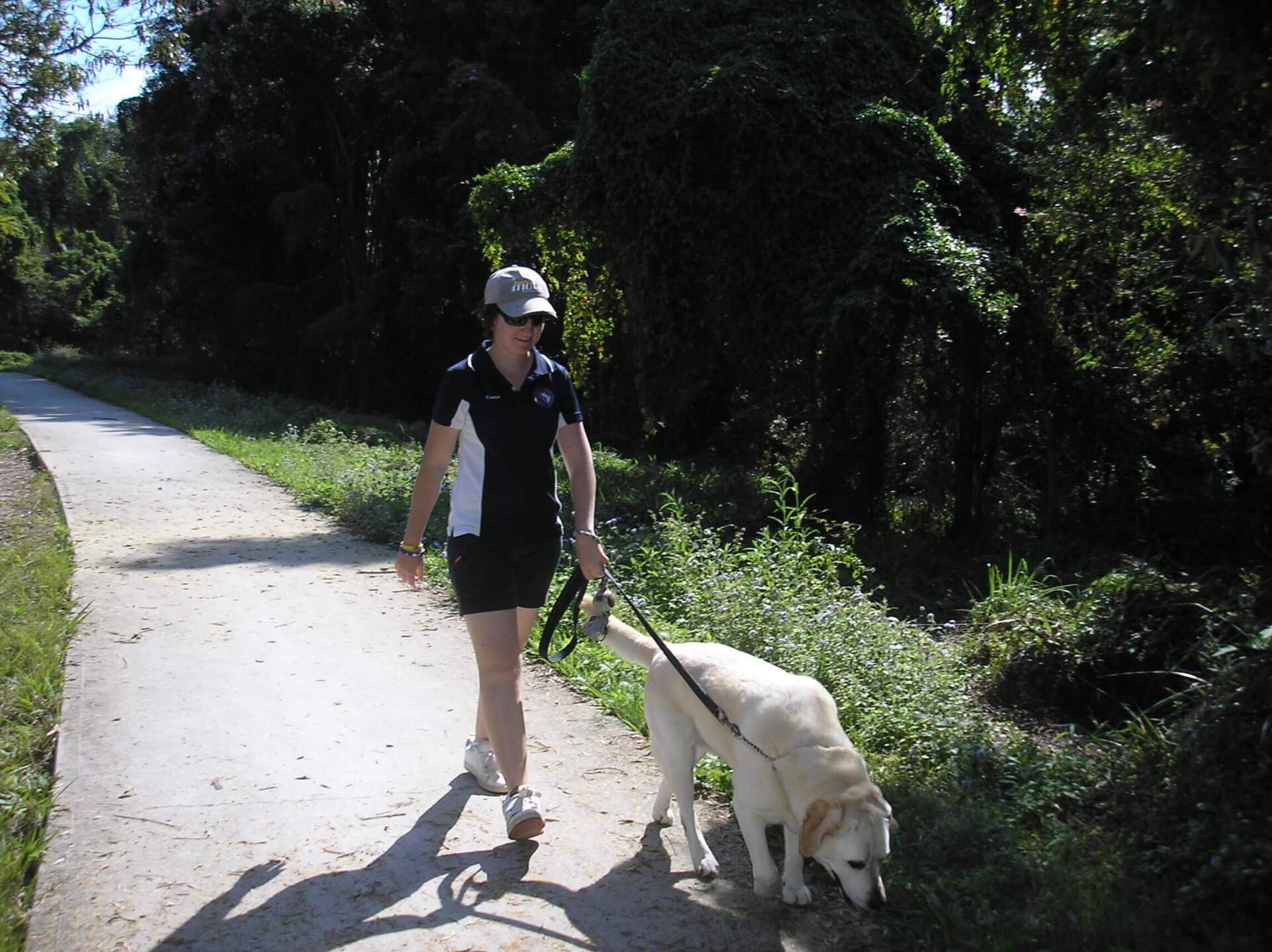 Woman Walking  with Labrador — Coffs Coast Pet Services in Coffs Harbour, NSW