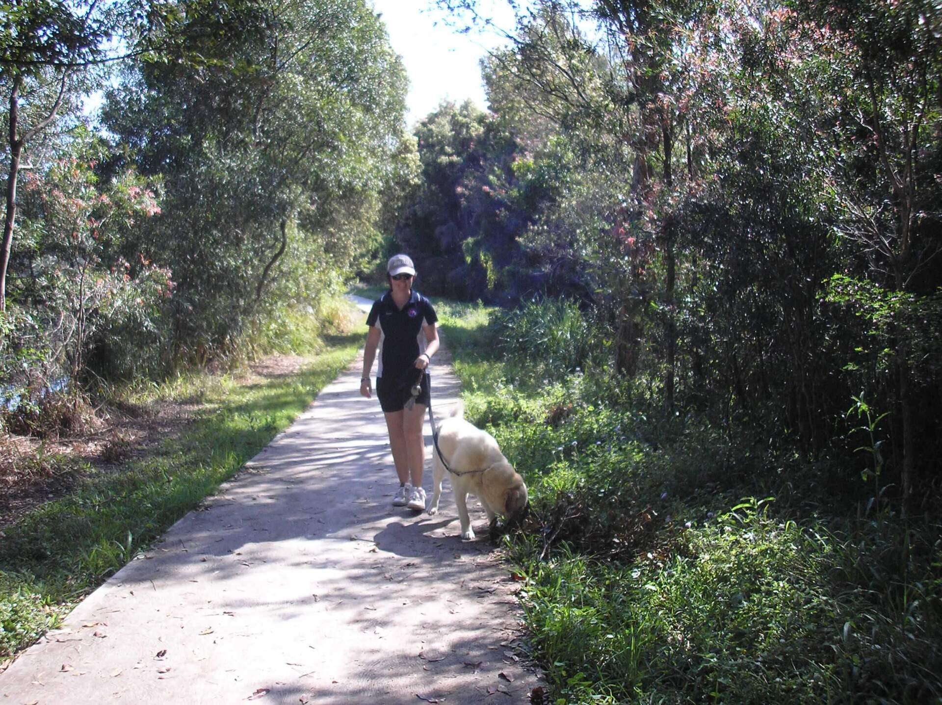 Woman and Dog Walking — Coffs Coast Pet Services in Coffs Harbour, NSW