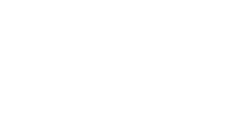 Stress Free Carpet Cleaning | Serving Northern Virginia