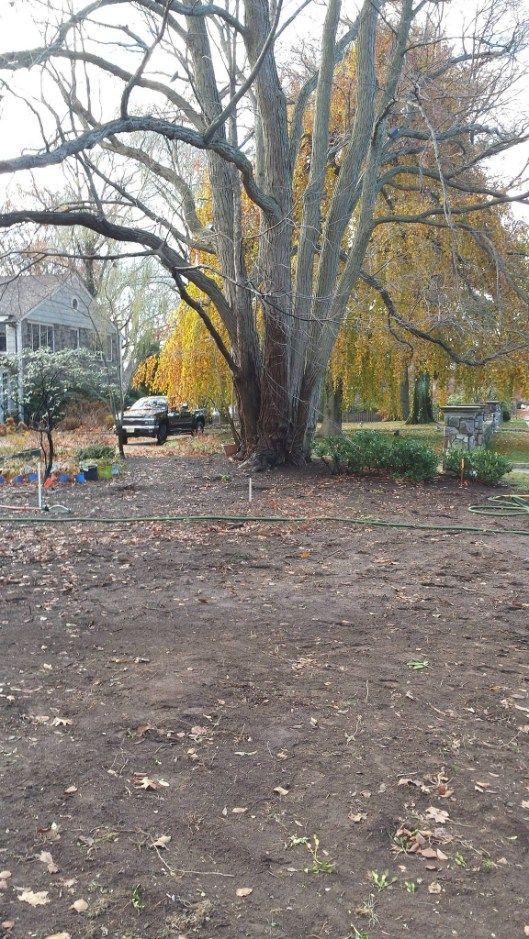 A bare dirt yard with a large tree, a pickup truck, and a house in the background on an autumn day.