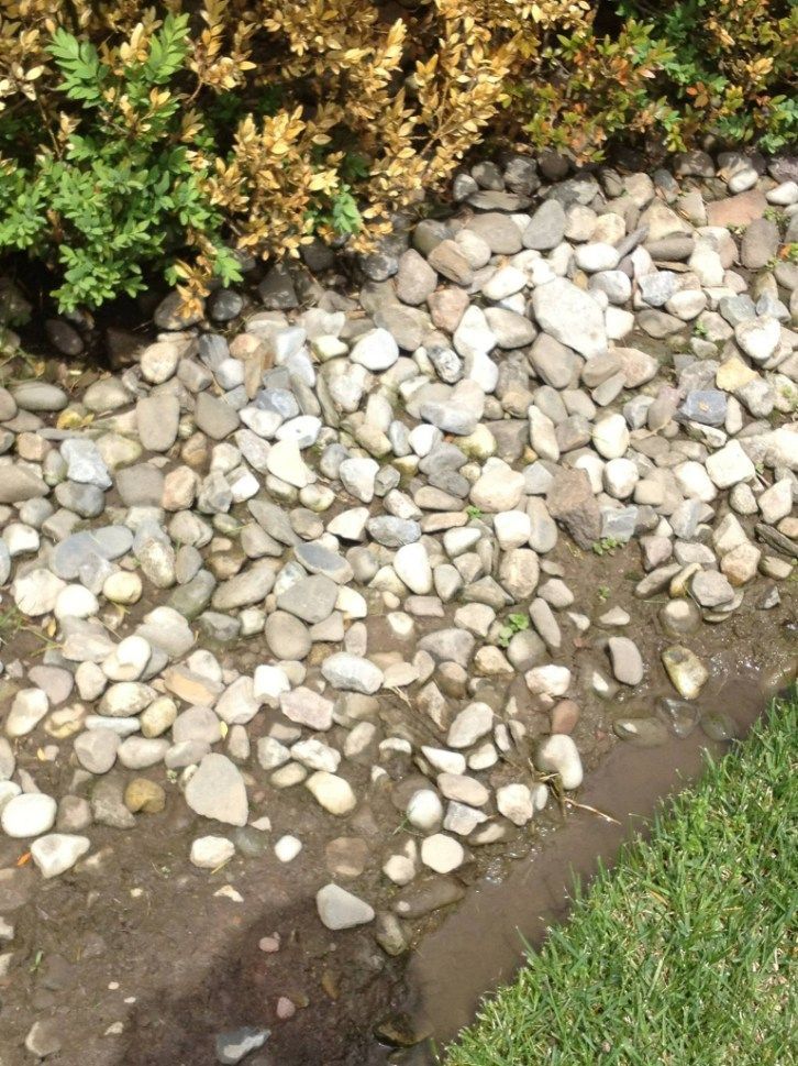 Rocks in a muddy bed bordering a green bush and grass lawn.