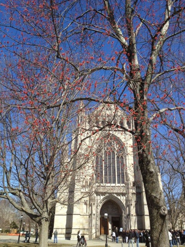 Tall, stone building with arched entrance, viewed through trees with red buds, against a clear blue sky.