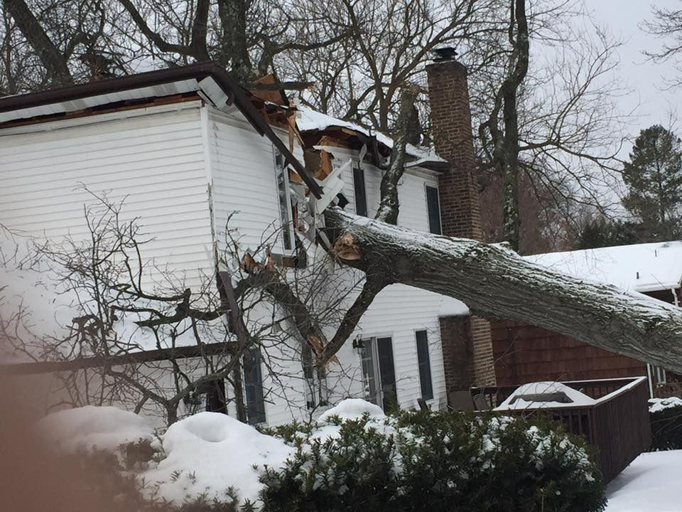 A large tree trunk crashed into a white house, damaging the roof. Snow covers the yard.