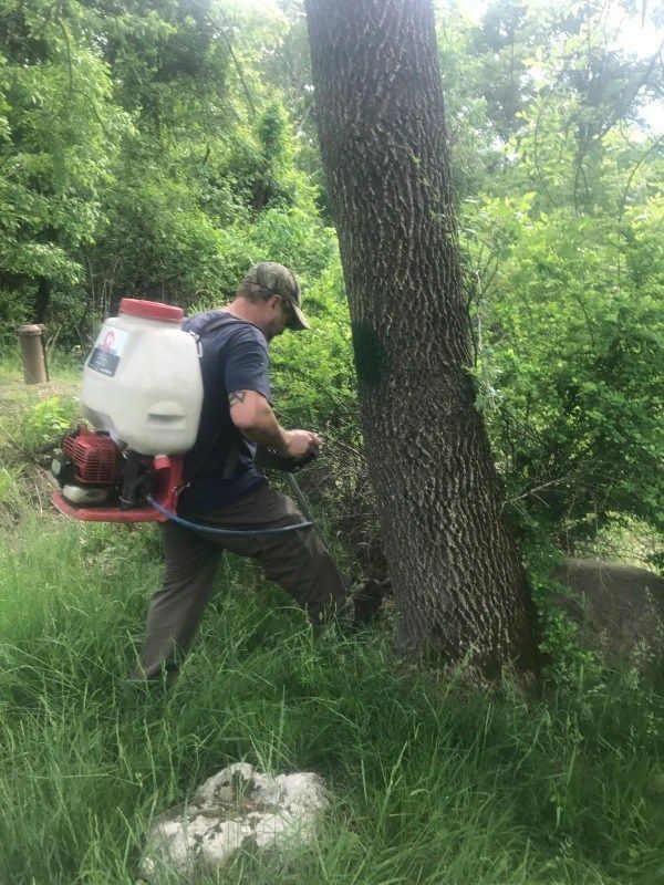 Man spraying chemicals on a tree trunk in a grassy, wooded area. He wears a backpack sprayer.