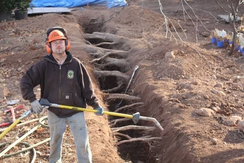 Man in work clothes, hard hat, and ear protection stands in a trench, holding a shovel; exposed tree roots.