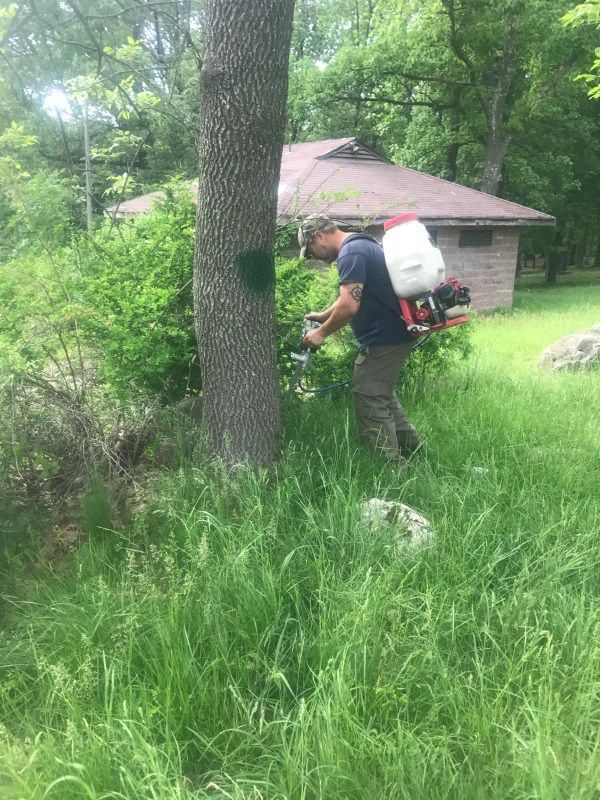 Man spraying tree trunk in grassy area, wearing backpack sprayer, near a building in a wooded setting.