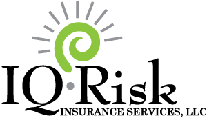 IQ Risk Logo