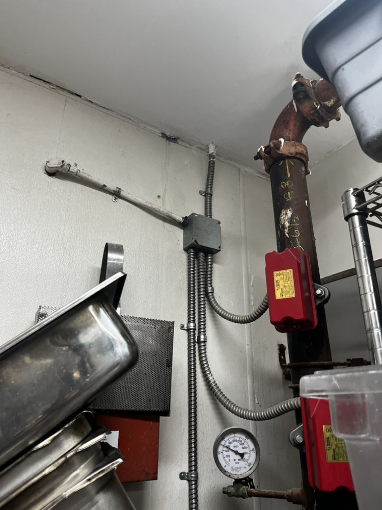A utility wall with metal conduit, a junction box, and a red fire sprinkler flow switch on a pipe near a pressure gauge.