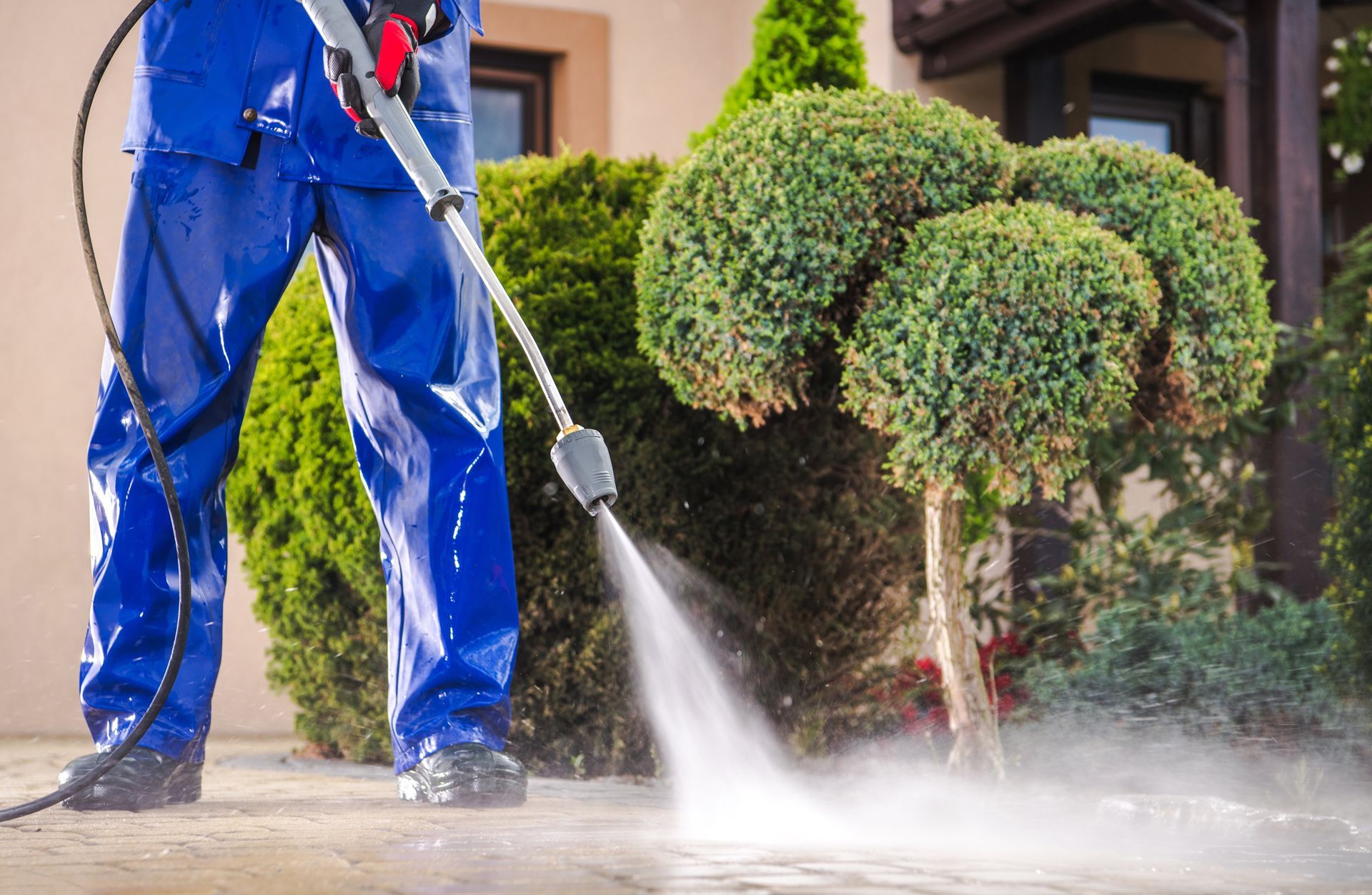 Worker in blue waterproof pants pressure-washing a walkway beside trimmed shrubs