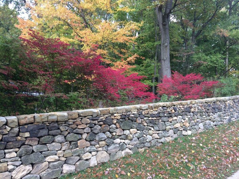 A stone wall surrounded by trees with red leaves