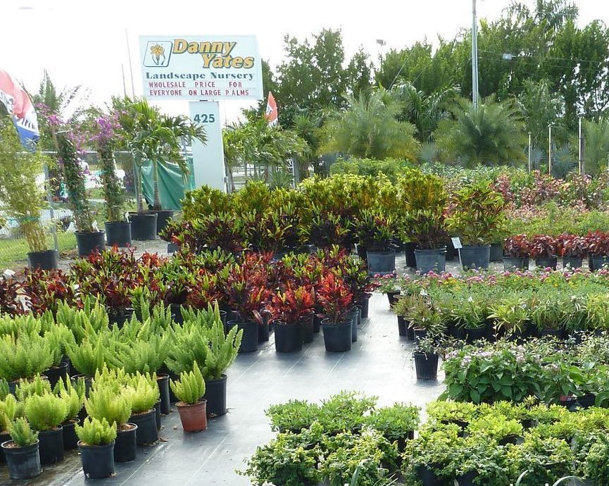 A bunch of potted plants in front of a sign that says doggy tree