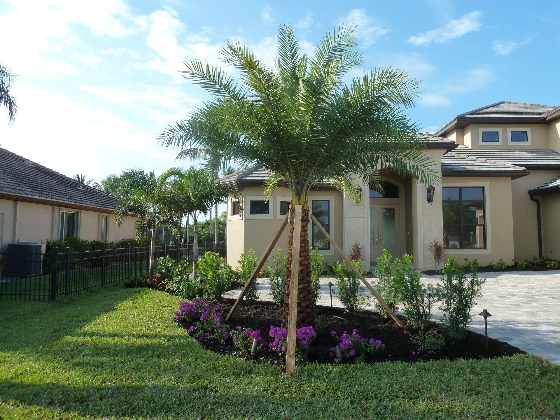 A house with a palm tree in front of it