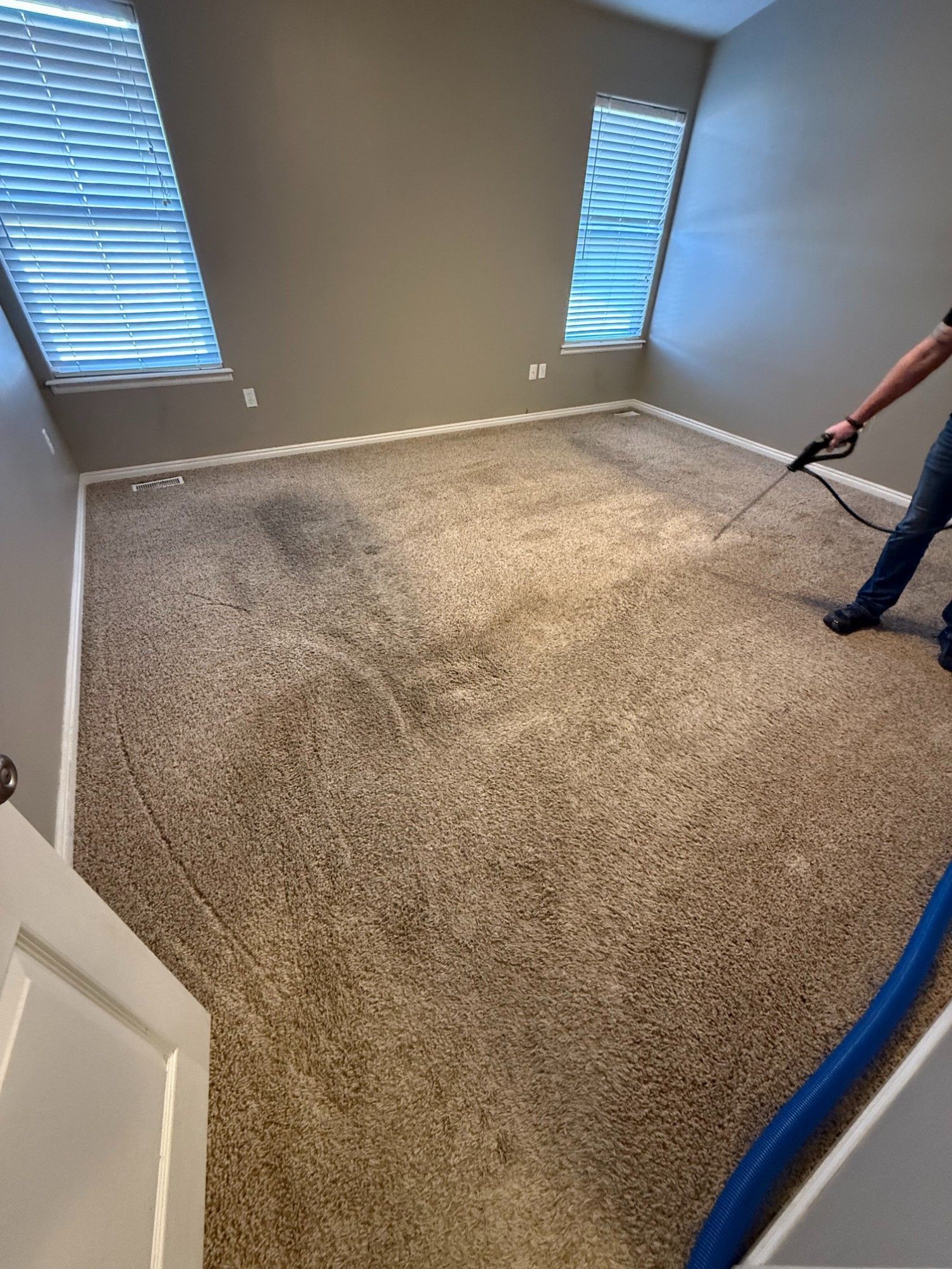 Empty carpeted room being vacuumed, with gray walls, two windows, and a partial person visible at right.