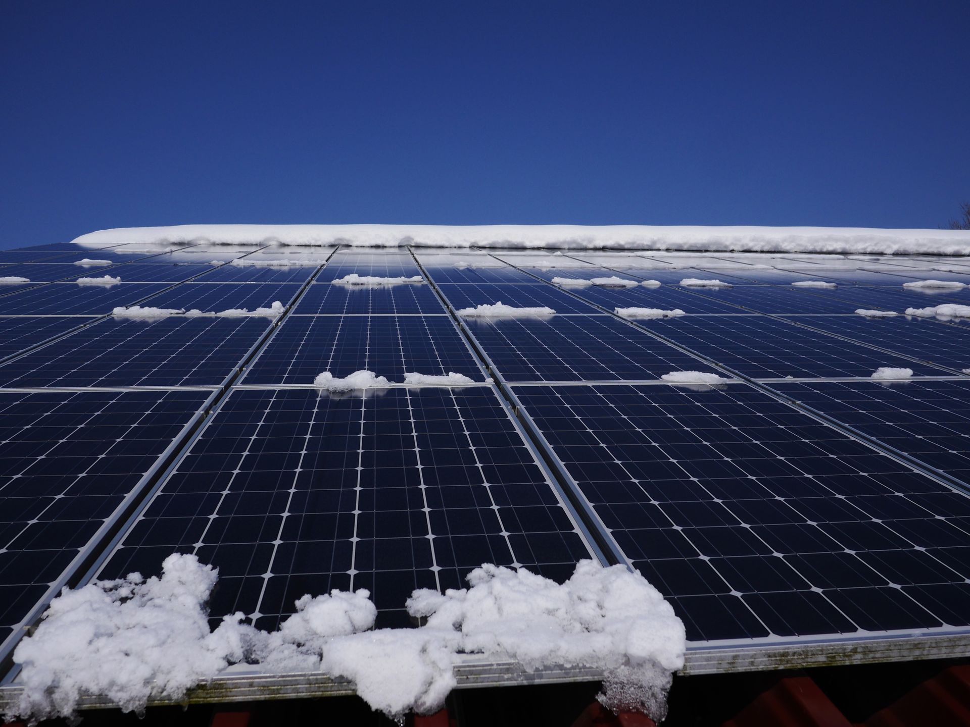 A bunch of solar panels are covered in snow