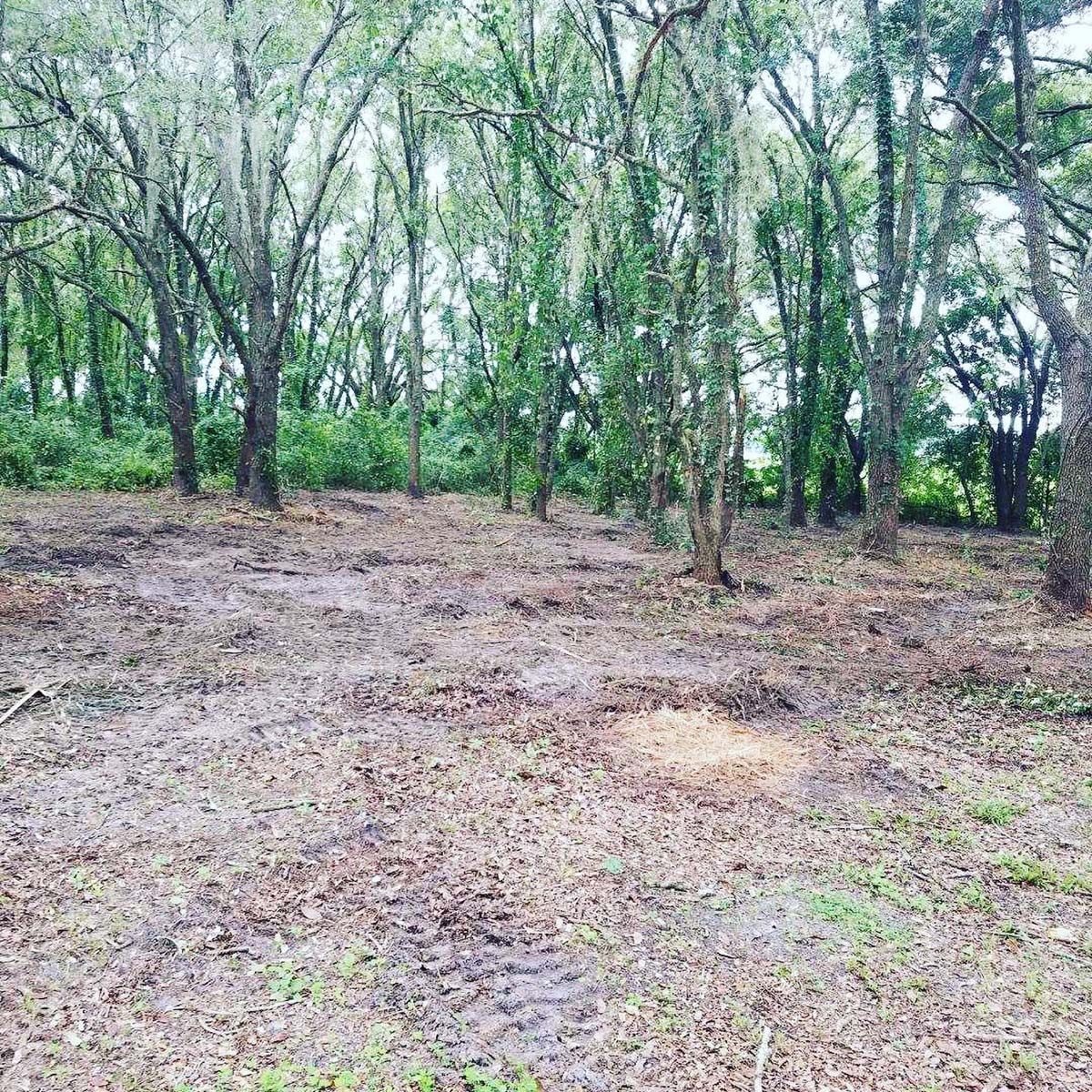 A dirt field with trees in the background and a lot of leaves on the ground.
