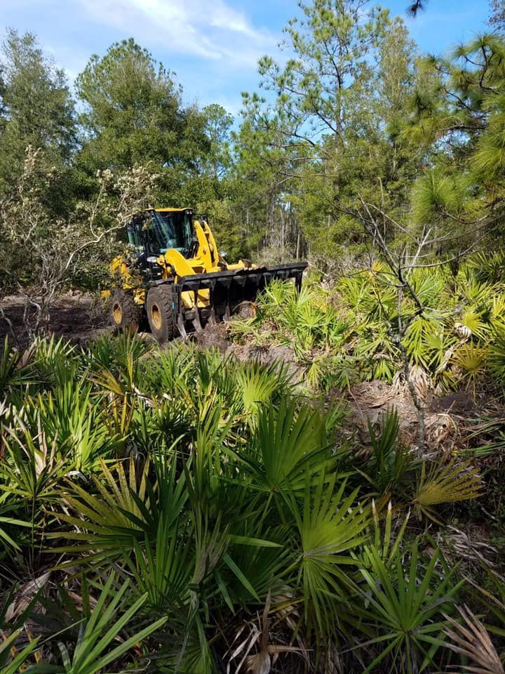 A yellow bulldozer is driving through a lush green forest.