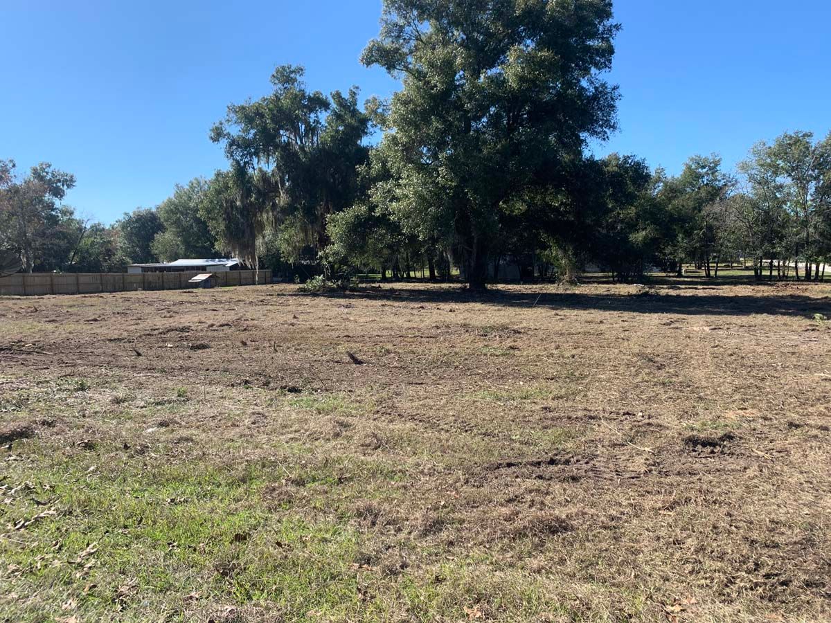 A field with trees in the background and a house in the background.