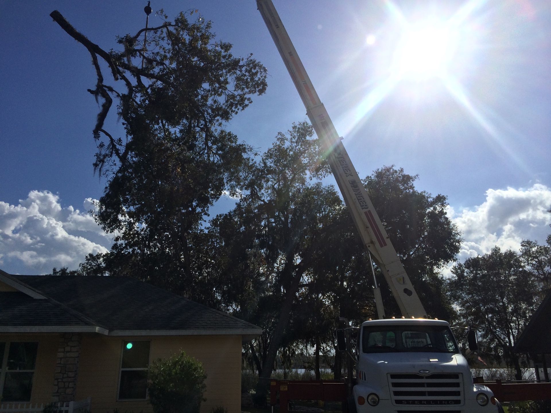 A crane is cutting a tree in front of a house