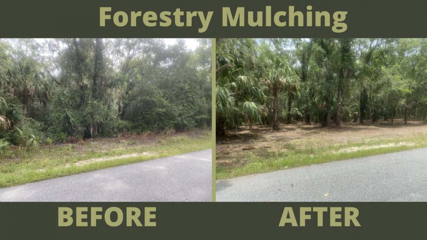 A before and after picture of a forestry mulching project