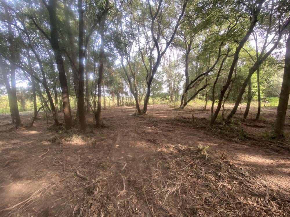 There is a lot of dirt in the middle of the forest.