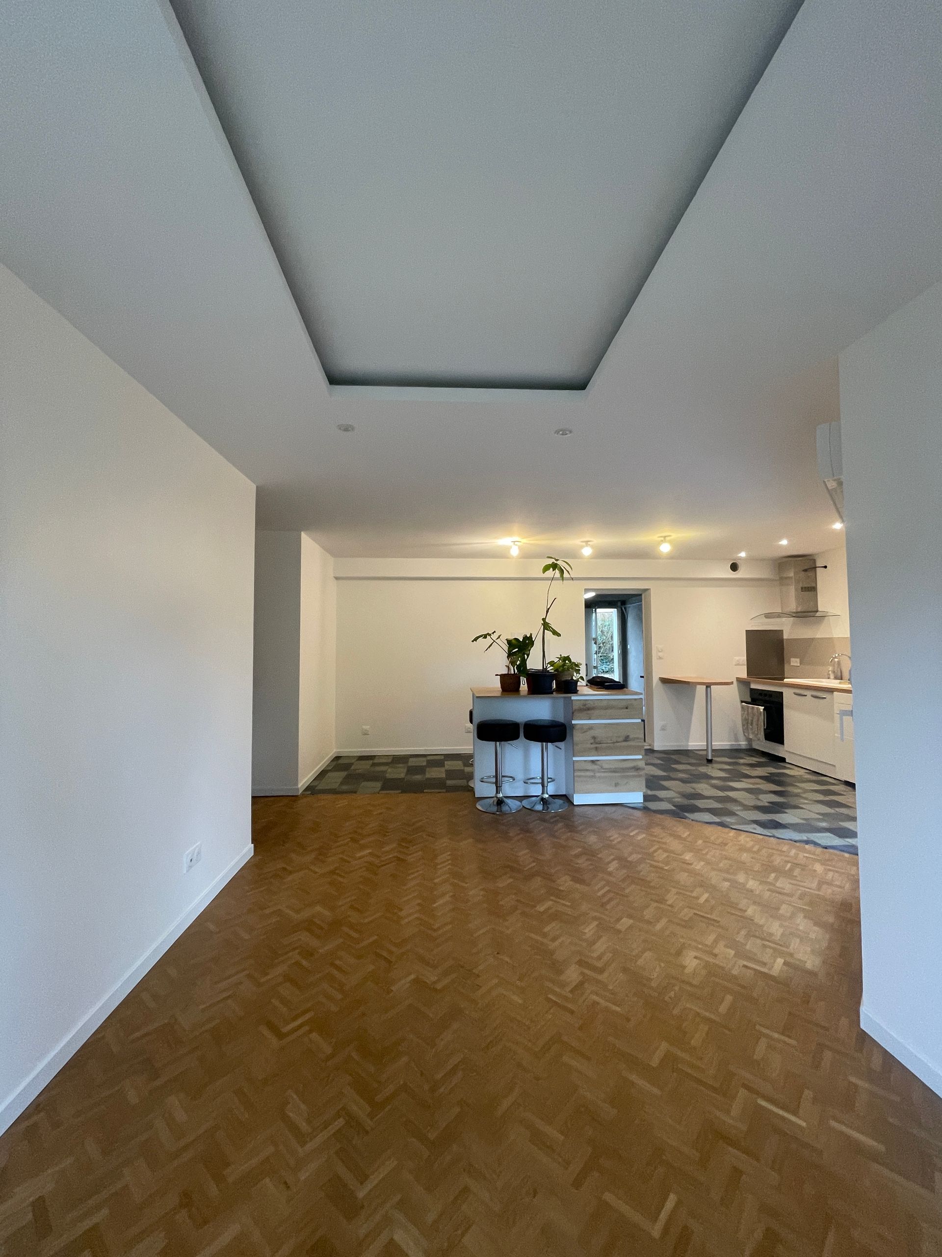 Intérieur de la pièce avec parquet, murs blancs et coin cuisine. Un petit îlot avec des plantes y est aménagé.